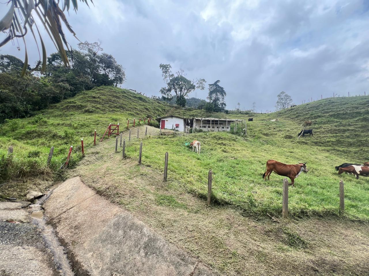 Finca en Barbosa a Borde de Carretera | Antioquia - Image 4