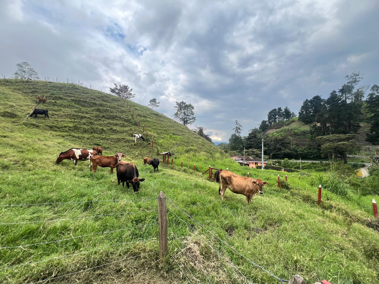 Finca en Barbosa a Borde de Carretera | Antioquia - Image 5